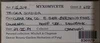 Image Associated With the Occurence